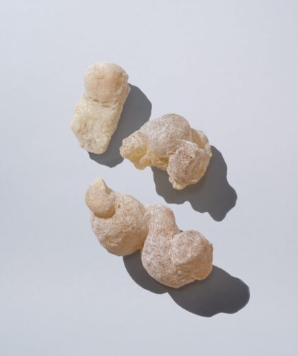 Close up shot pieces of single frankincense resins