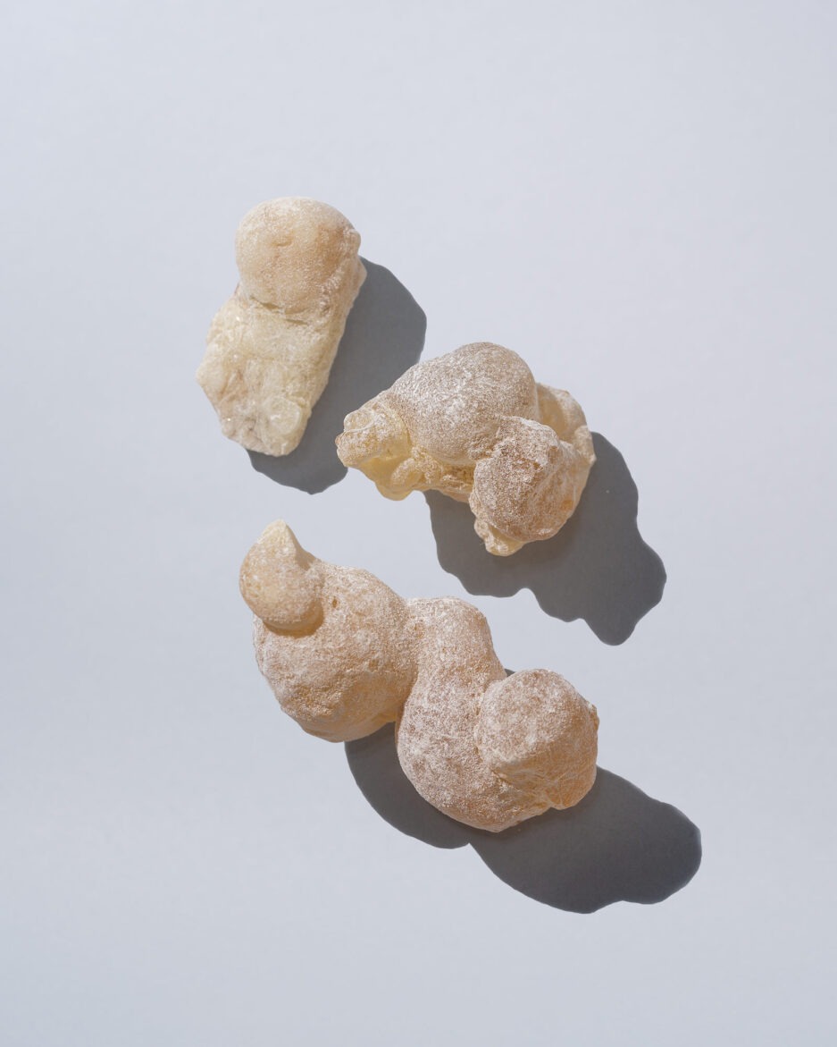 Close up shot pieces of single frankincense resins